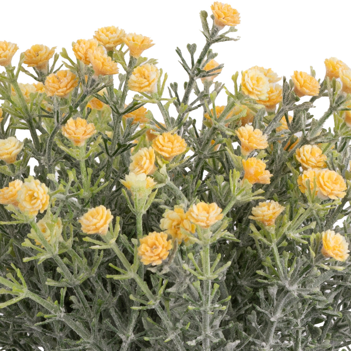 Mini Open Gypsophilia Bunch x 6 Yellow 33cm image 1