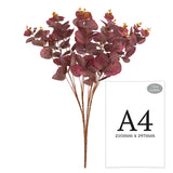 Eucalyptus Bush Burgundy (16 Heads) image 2