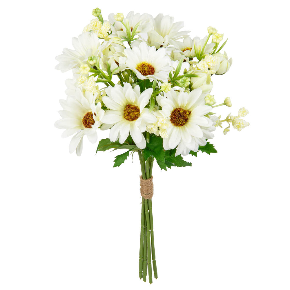 Gerbera Daisy Mixed Bush White image 0