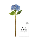 Hydrangea Stem Light Blue (19cm Head 66cm Stem) image 2
