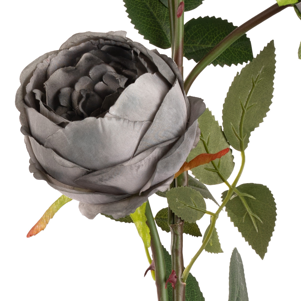 Elizabeth Garden Rose Spray x 3 Grey image 2