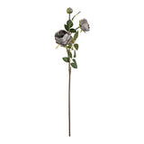 Elizabeth Garden Rose Spray x 3 Grey image 0
