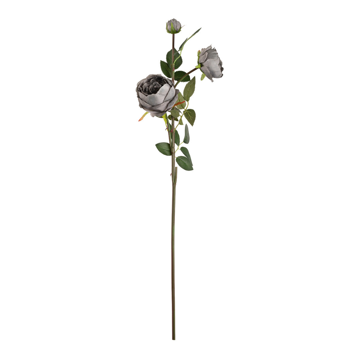 Elizabeth Garden Rose Spray x 3 Grey image 0