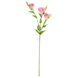 Eleganza Lisianthus Spray x 3 Dark Pink image 0
