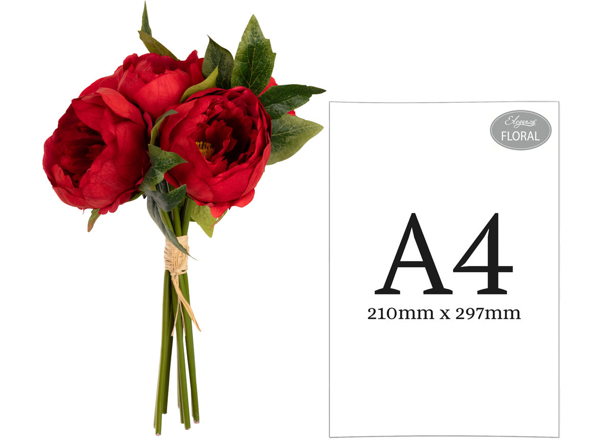 Aurora Peony Bunch x 5 Red image 1