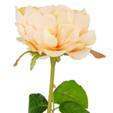65cm Single Rose Pink image 1