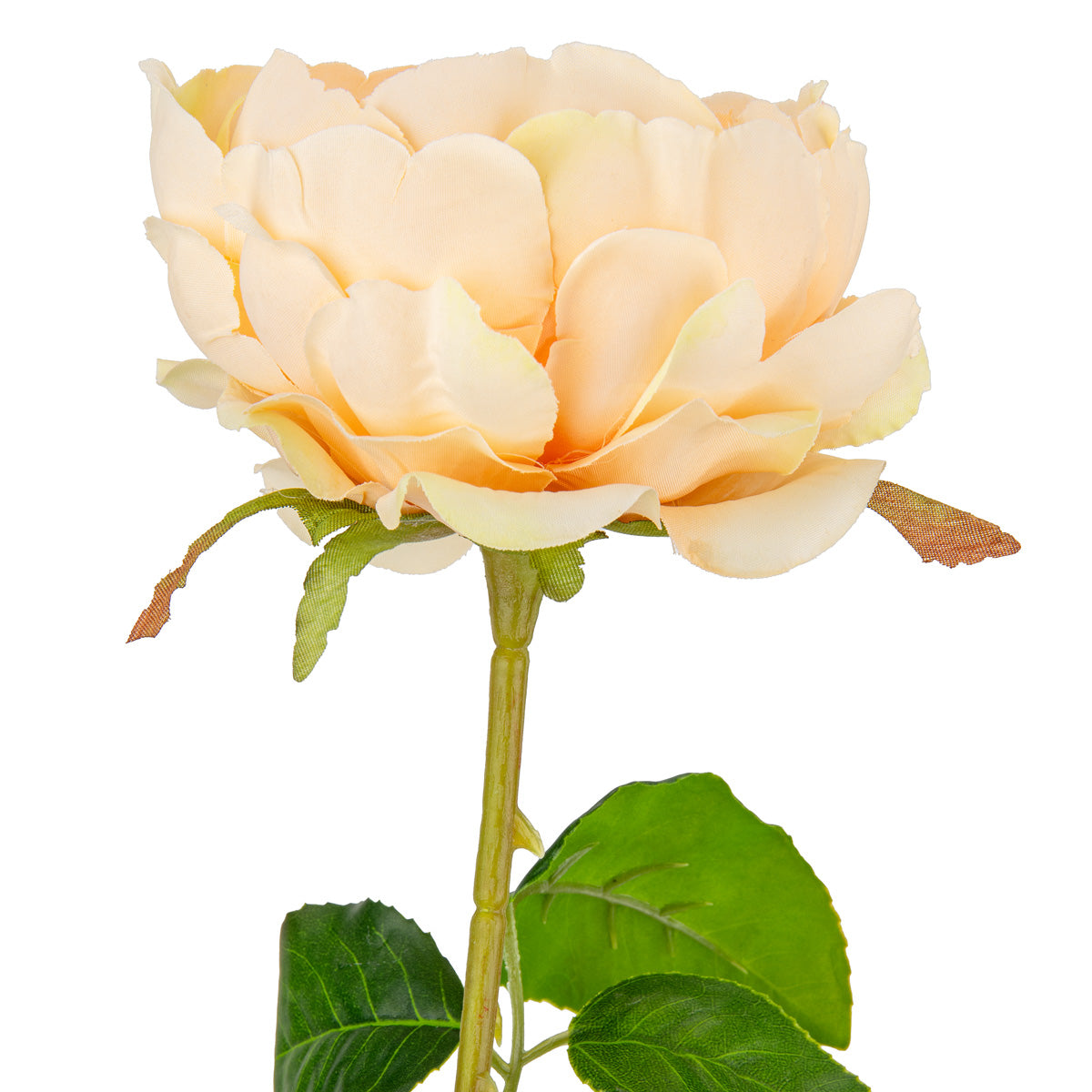 65cm Single Rose Pink image 1