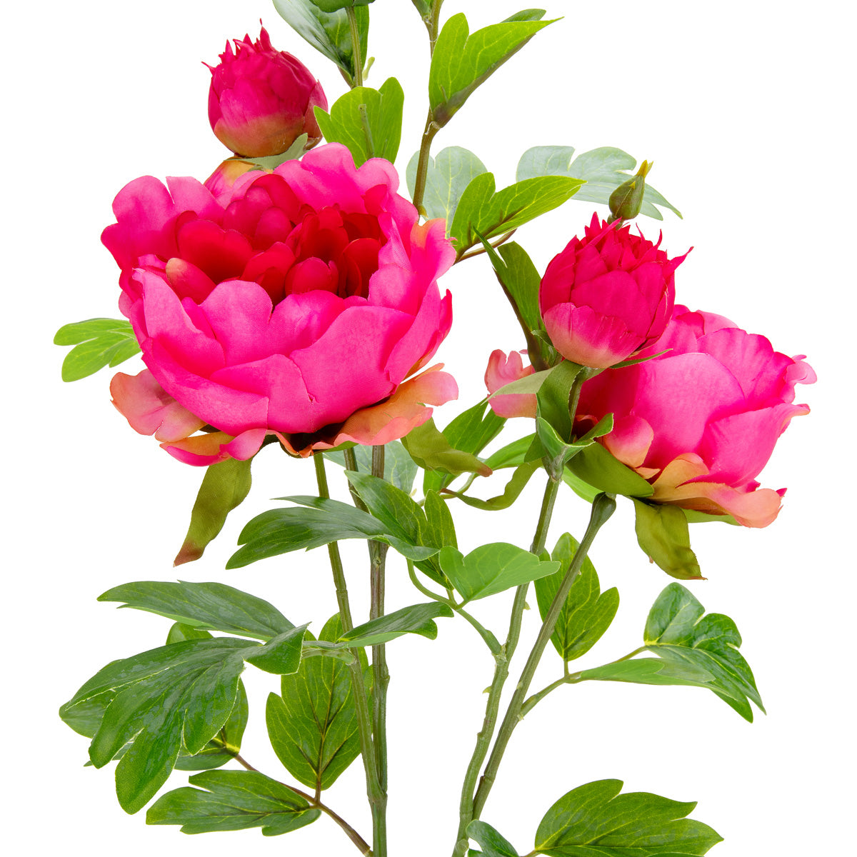 90cm Peony Spray x 5 Dark Pink image 1