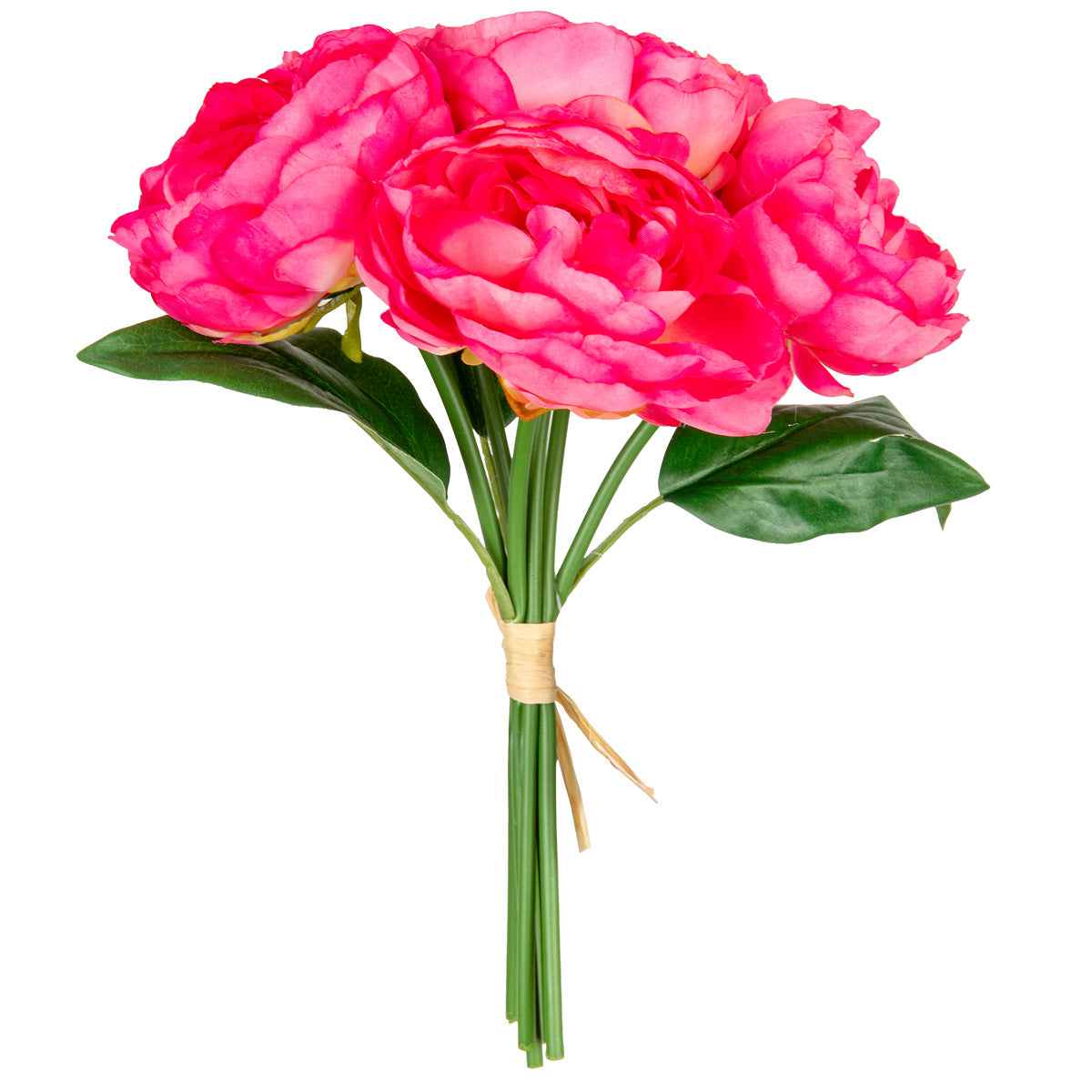 Princess Peony Bunch x 6 Bright Pink image 1