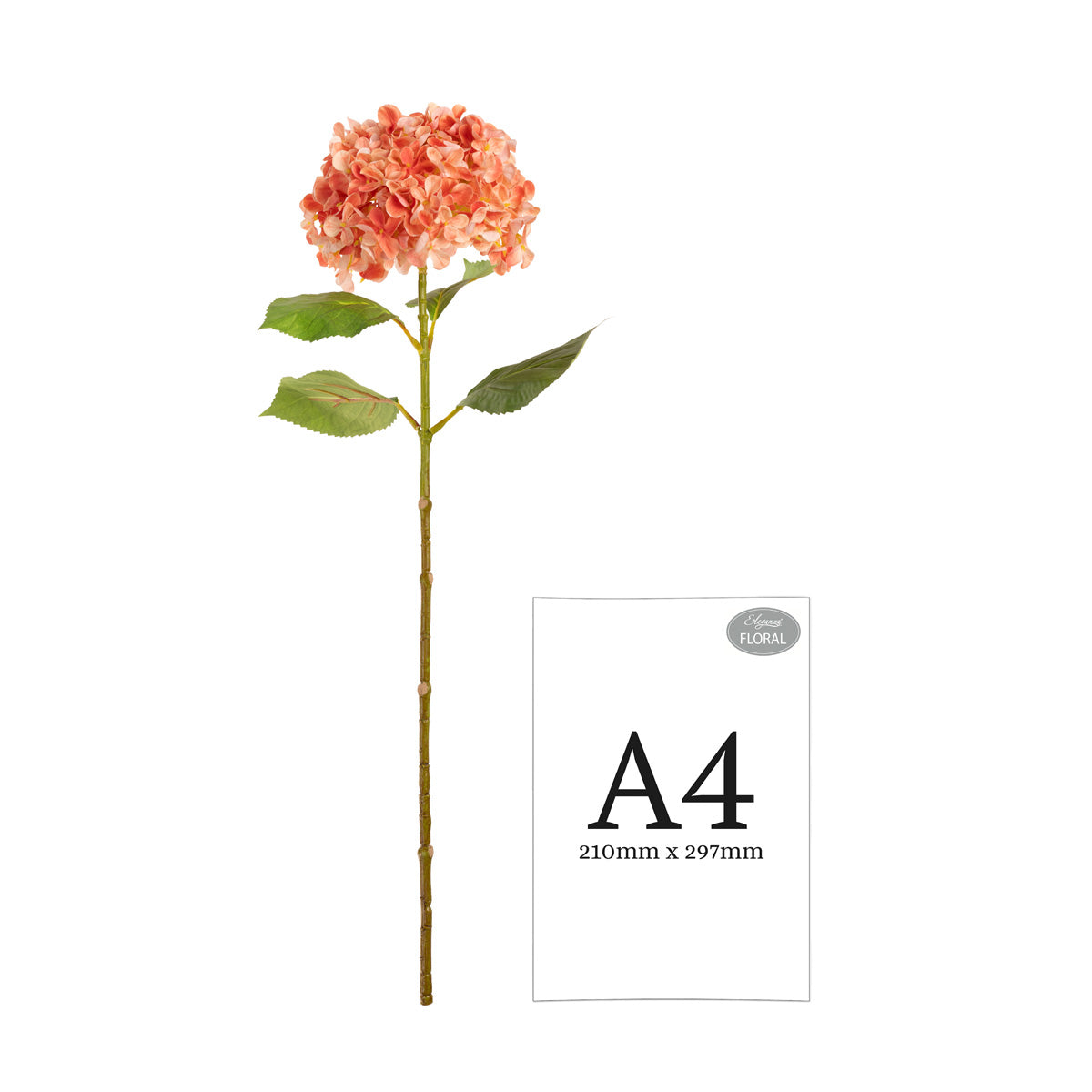 Hydrangea Stem Coral (19cm Head 66cm Stem) image 2