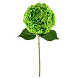Large Head Hydrangea Green 92cm image 1