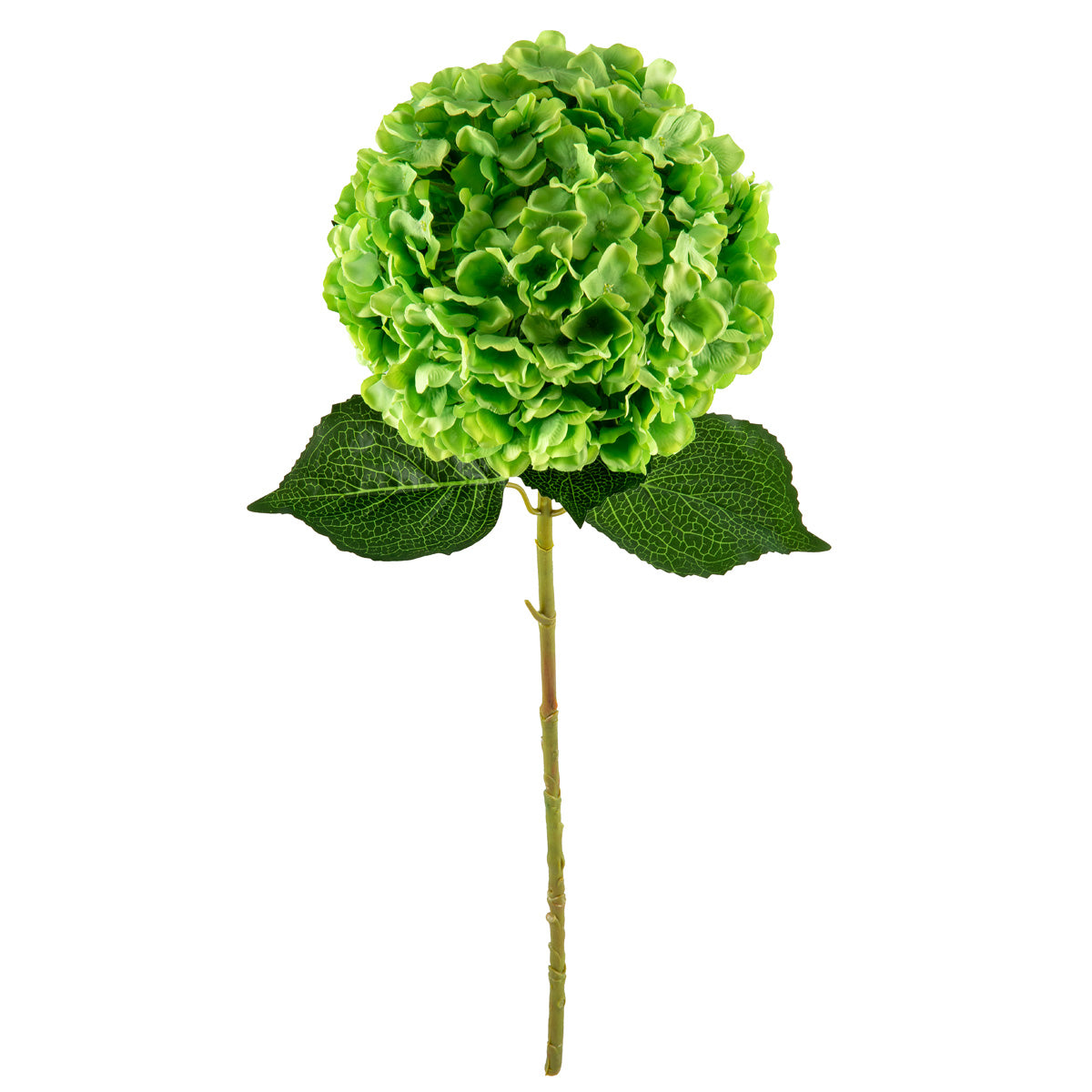 Large Head Hydrangea Green 92cm image 1