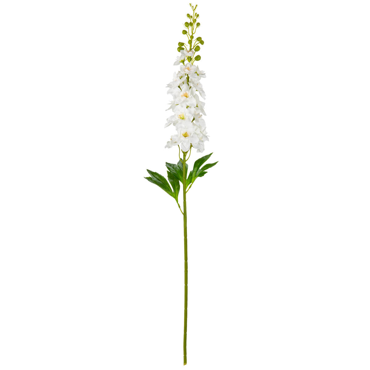 Delphinium Stem White image 0