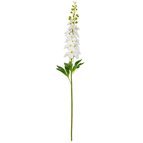 Delphinium Stem White image 0
