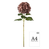 Large Head Hydrangea Dusky Pink image 1
