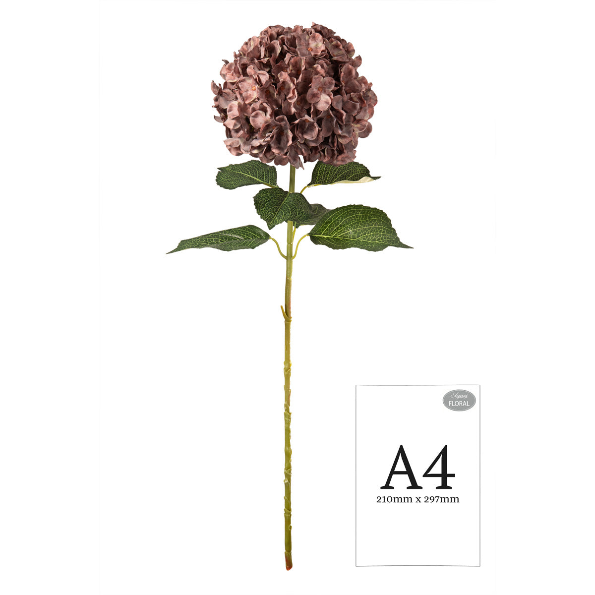 Large Head Hydrangea Dusky Pink image 1