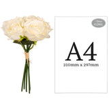 Eugenie Rose Bunch x 6 Cream image 1