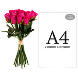 Beatrice Rose Bud Bunch x 15 Dark Pink image 1