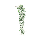 Hanging Ivy Bush Variegated image 1