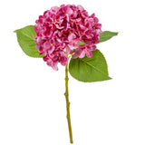 Small Head Hydrangea Fuchsia image 2