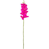 Phalaenopsis Orchid x 9 Fuchsia image 0