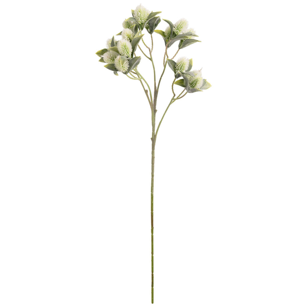 Thistle Spray 60cm Ivory image 0