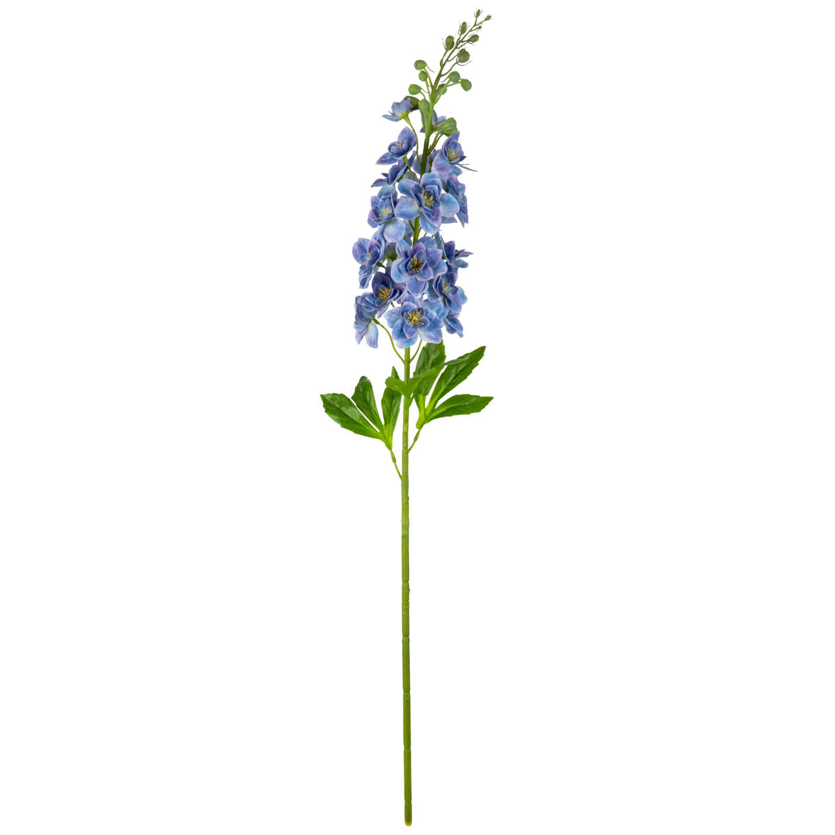 Delphinium Stem Lavender Blue image 0