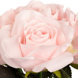 Eugenie Rose Bunch x 6 Soft Pink image 2