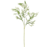 Wild Asparagus Spray Green image 0