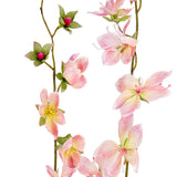 Clematis Spray x 2 Pink Cream image 1