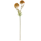 Wild Meadow Spray x 2 Orange image 0