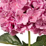 Large Head Hydrangea Cerise 92cm image 3