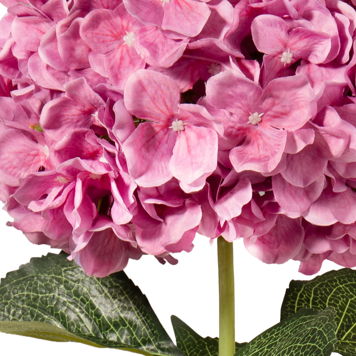 Large Head Hydrangea Cerise 92cm image 3