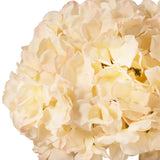 Large Head Hydrangea Cream/Pink image 2