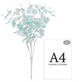 Eucalyptus Bush x 16 Blue image 2