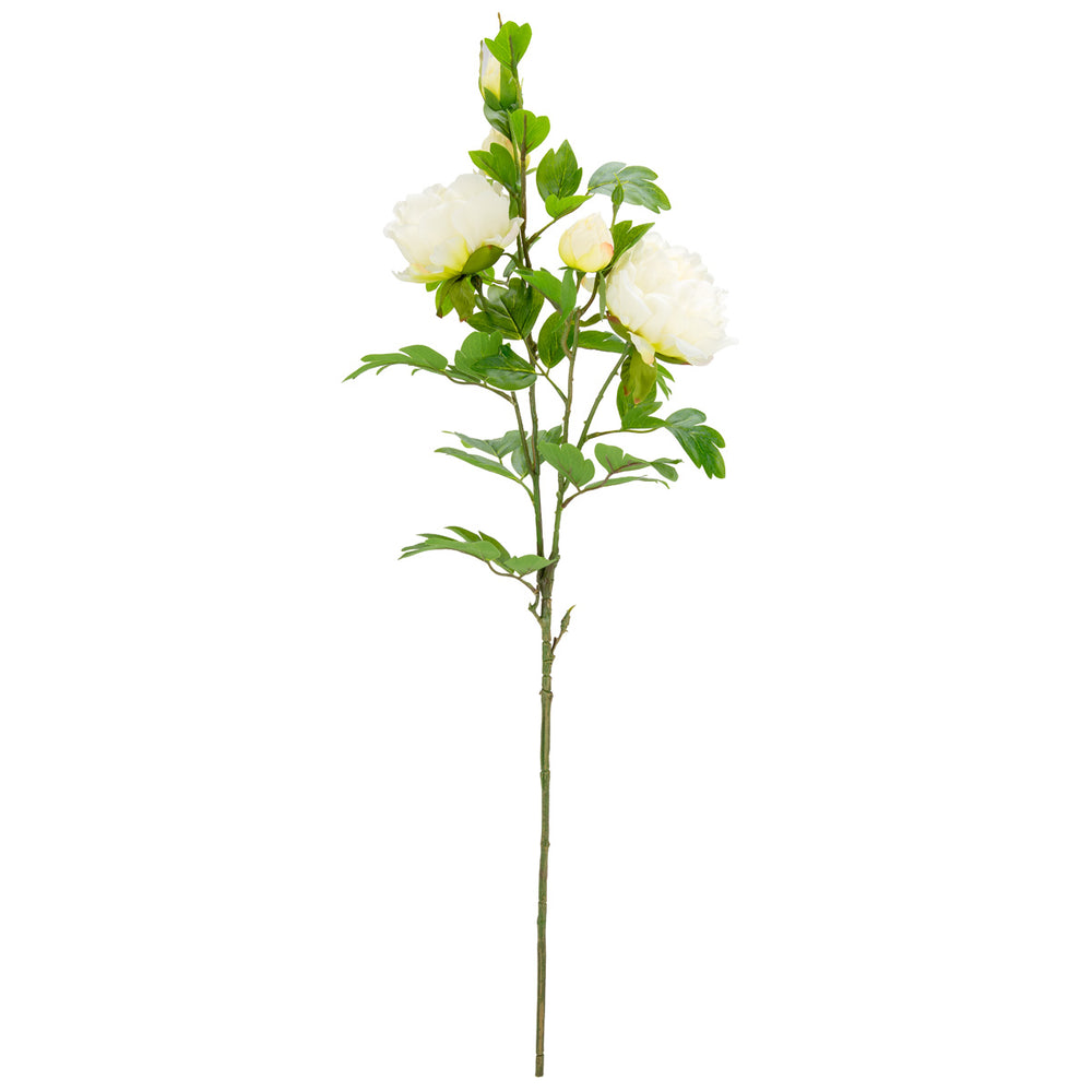 90cm Peony Spray x 5 Cream image 0