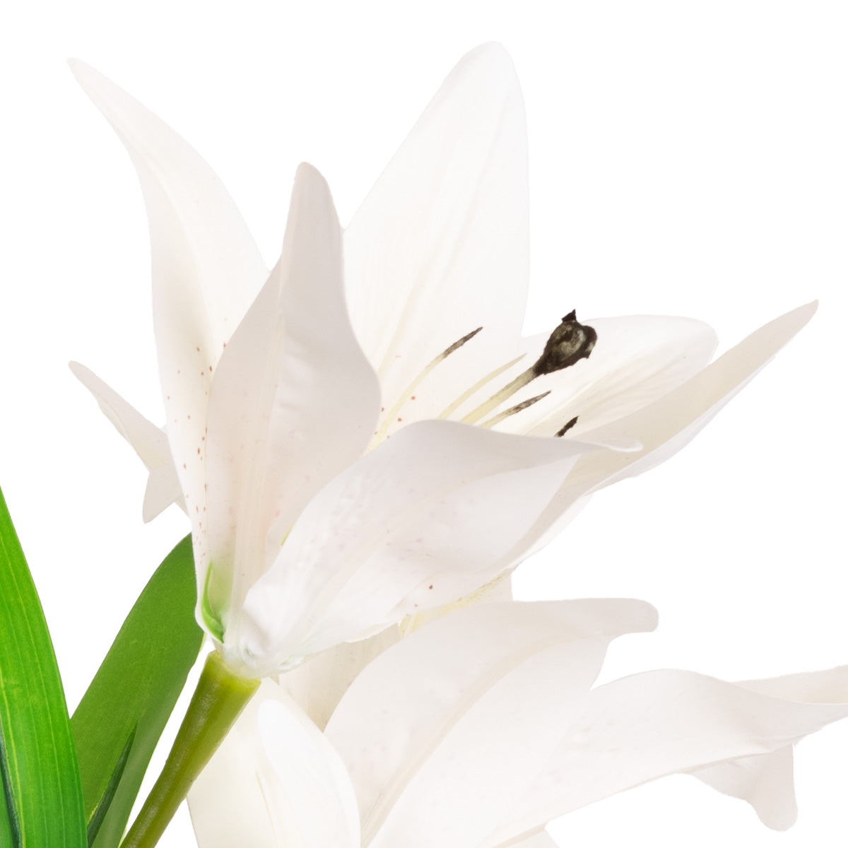 Lily Bush x 7 Flowers, 1 Bud & 9 Leaves White image 2