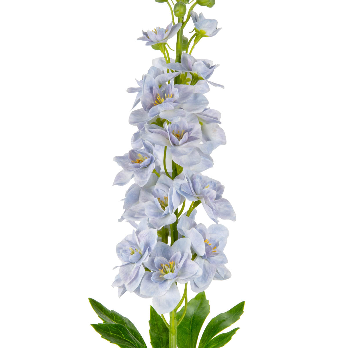 Delphinium Stem Light Blue image 1