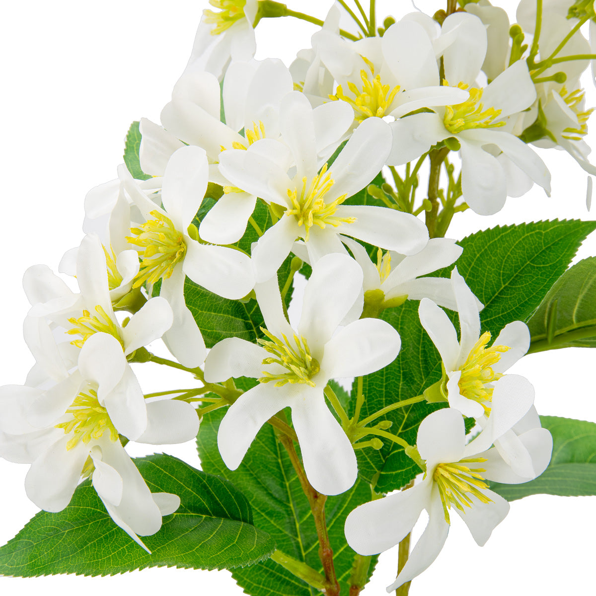 Vernicia Flower Spray x 2 White image 1