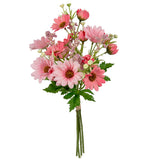 Gerbera Daisy Mixed Bush Light Pink image 0