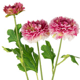 Oriental Aster Spray x 3 Pink image 1