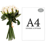Beatrice Rose Bud Bunch x 15 White image 1