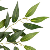 Ruscus Spray image 2