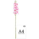 Phalaenopsis Orchid x 9 White Pink image 2