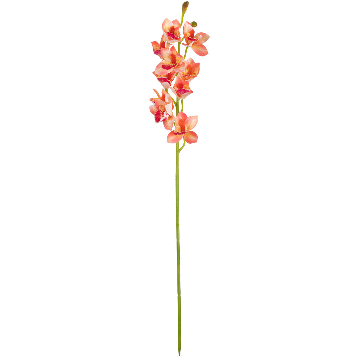 Cymbidium Orchid x 10 plus 2 buds Pink image 0