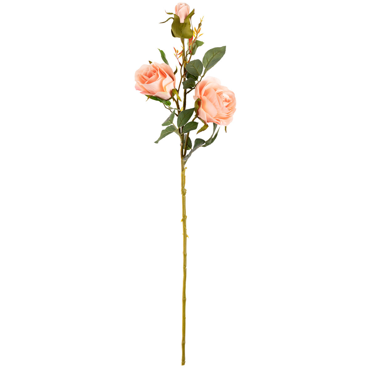 Large Charlotte Rose Spray x 3 Champagne image 0