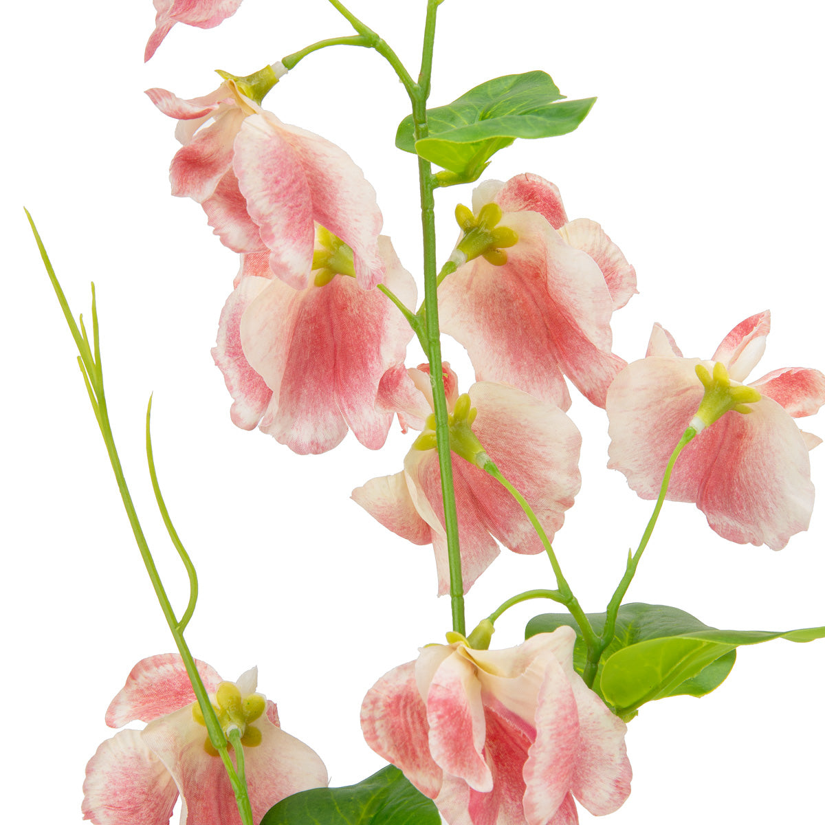 Sweet Pea Spray Dark Pink image 2