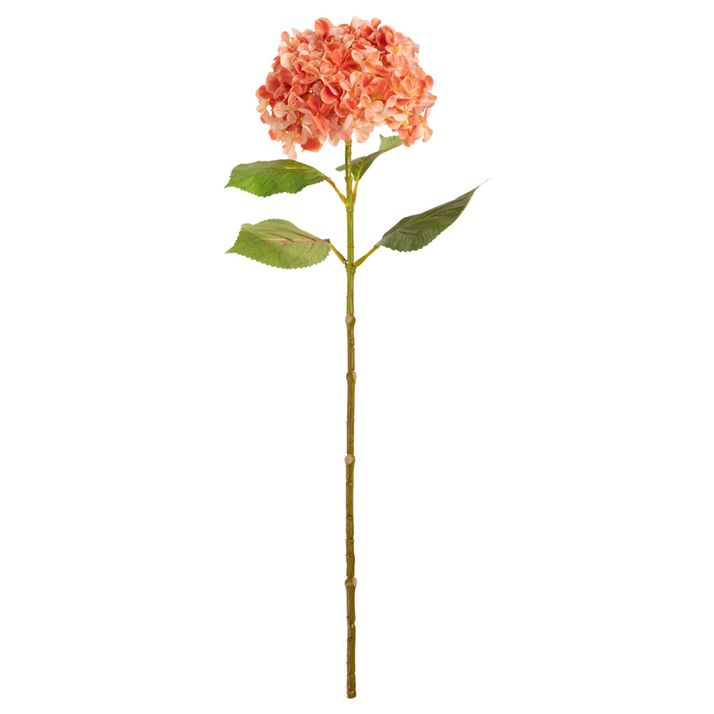 Hydrangea Stem Coral (19cm Head 66cm Stem) image 0