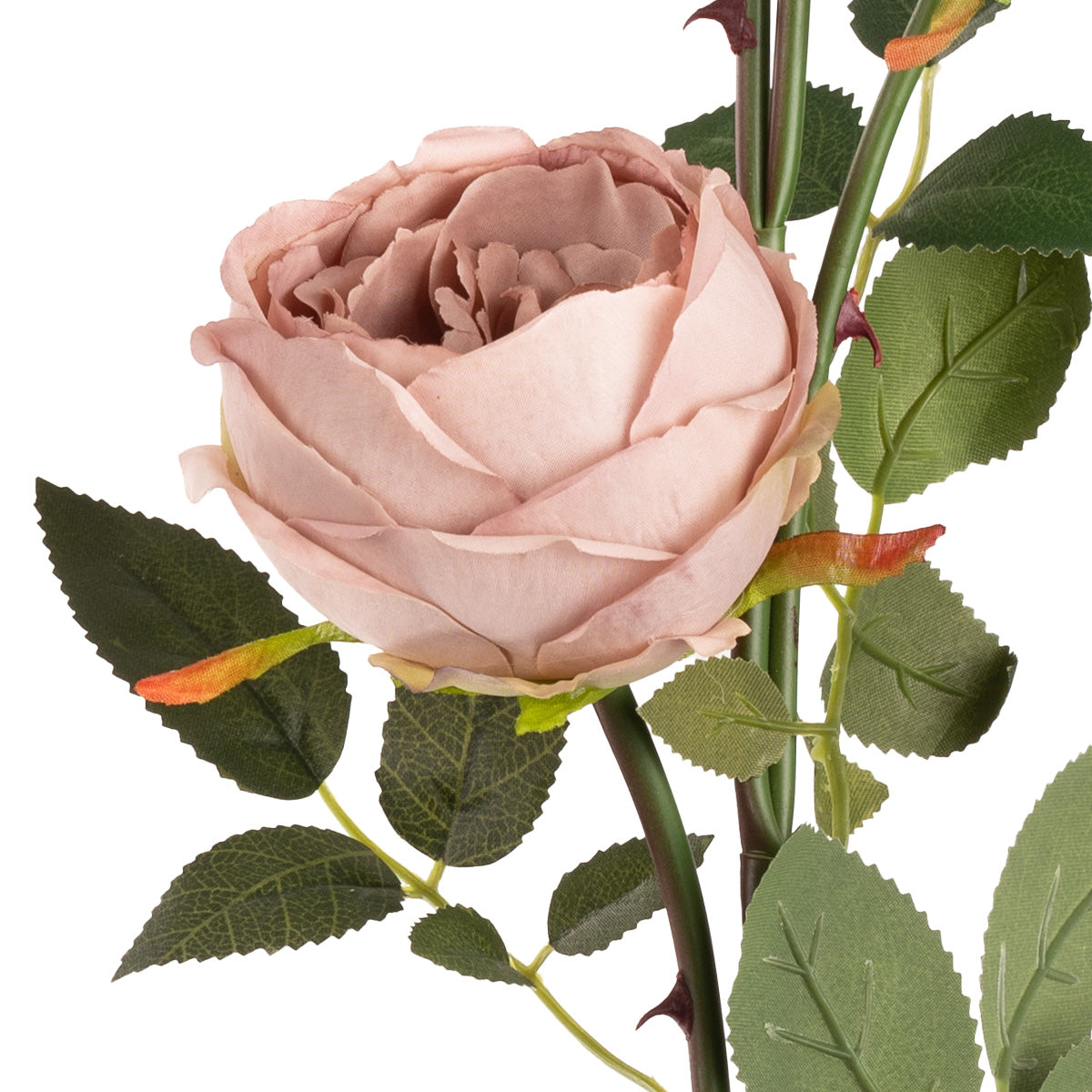Elizabeth Garden Rose Spray x 3 Dirty Pink image 2