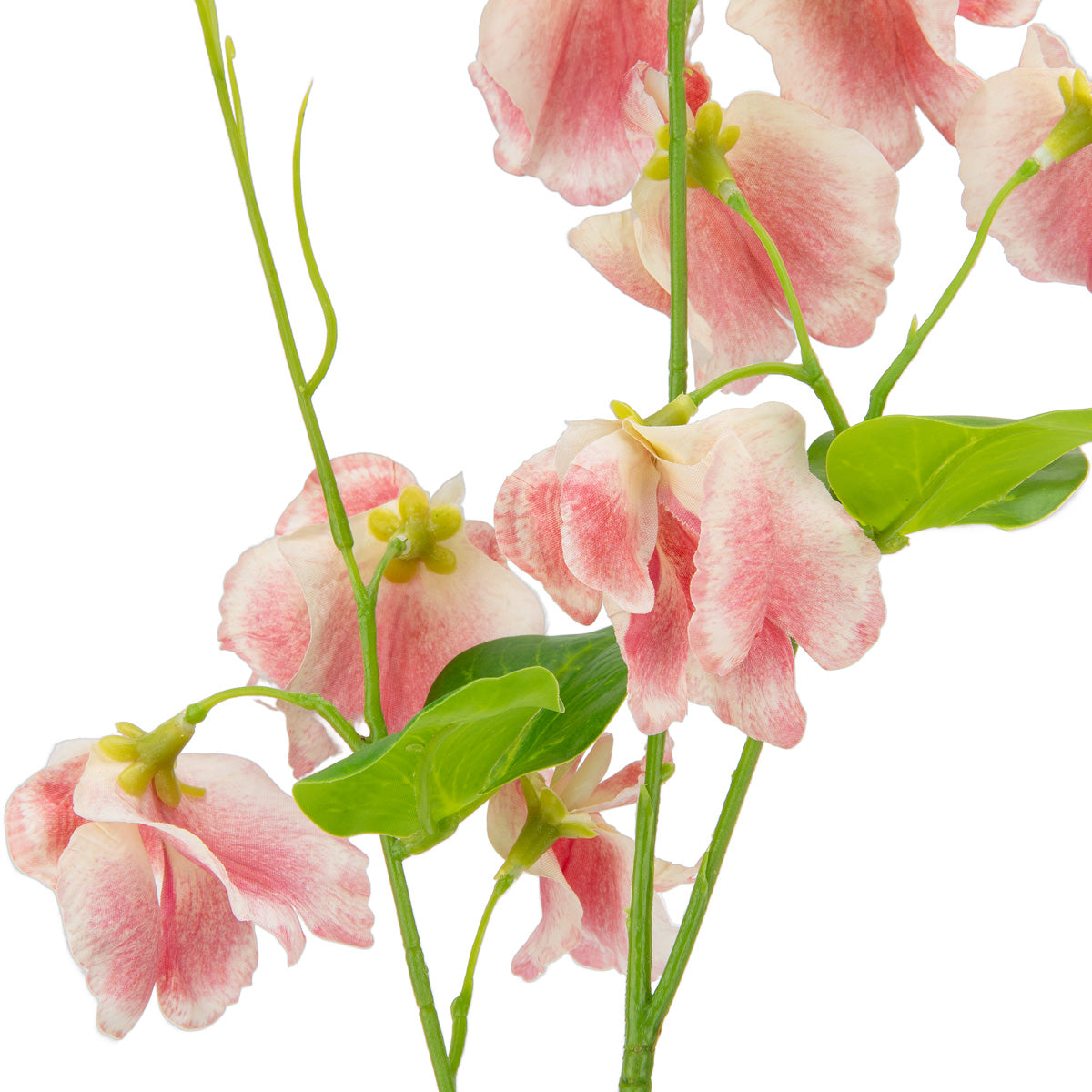Sweet Pea Spray Dark Pink image 1